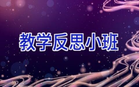 教学反思小班