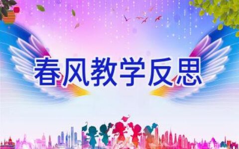 春风教学反思