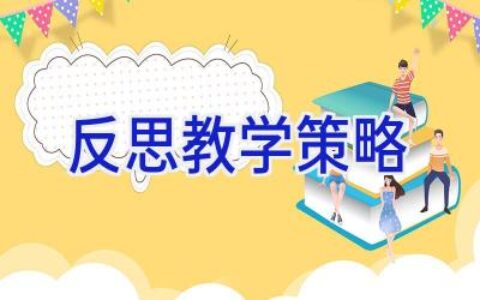 反思教学策略