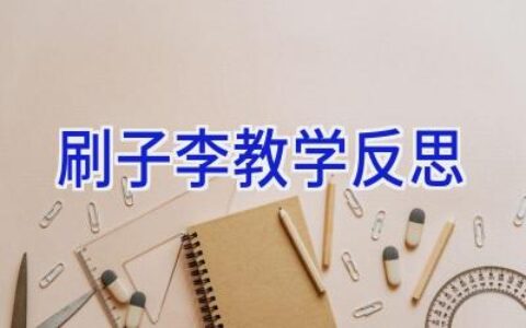 刷子李教学反思