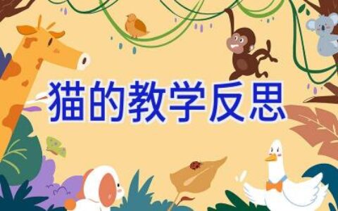 猫的教学反思