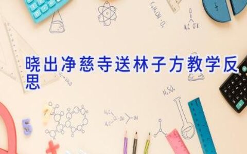 晓出净慈寺送林子方教学反思