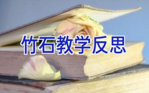 竹石教学反思