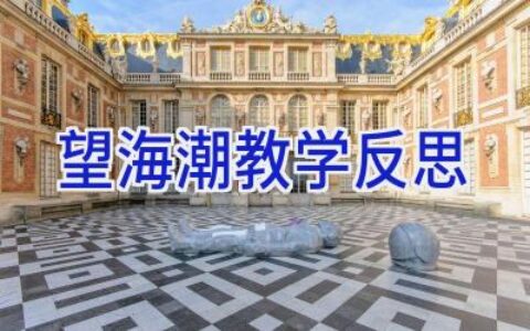 望海潮教学反思