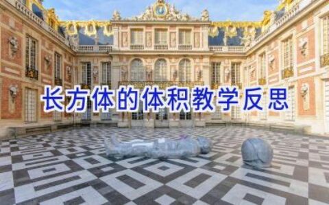 长方体的体积教学反思