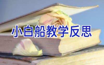 小白船教学反思