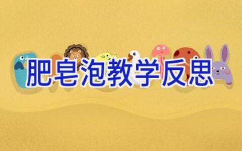 肥皂泡教学反思