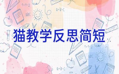 猫教学反思简短