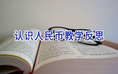 认识人民币教学反思