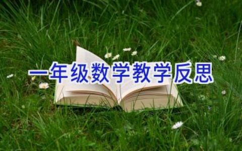一年级数学教学反思