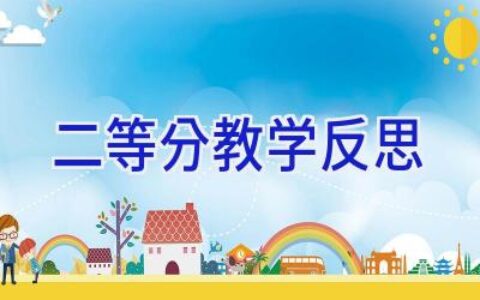 二等分教学反思