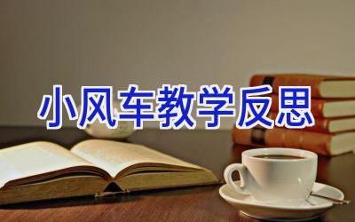 小风车教学反思