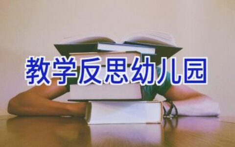 教学反思幼儿园