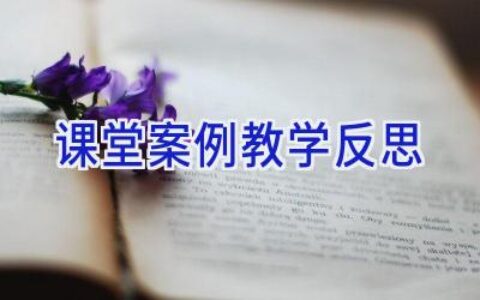 课堂案例教学反思