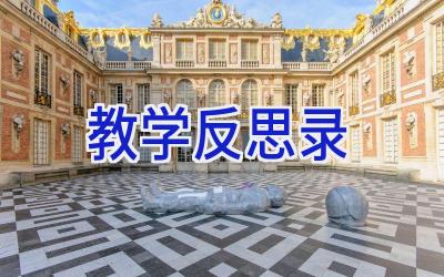 教学反思录