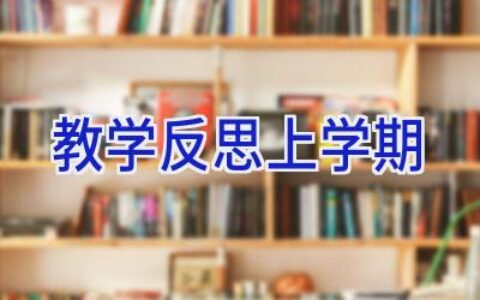 教学反思上学期