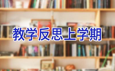 教学反思上学期