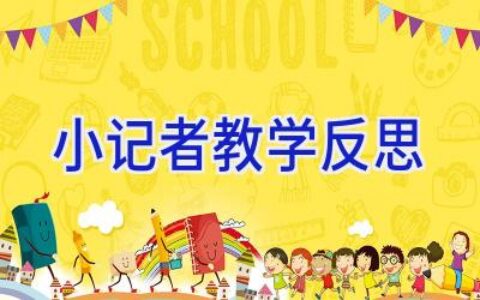 小记者教学反思