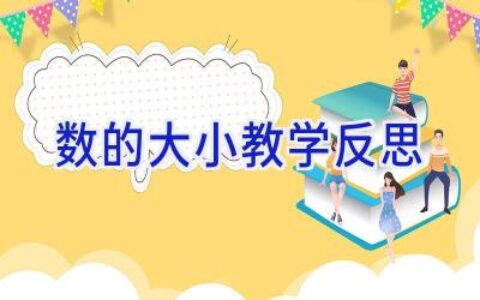 数的大小教学反思