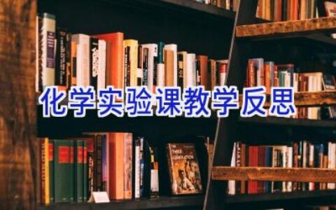 化学实验课教学反思