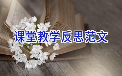 课堂教学反思范文