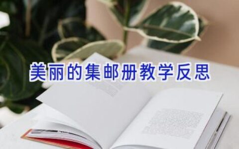 美丽的集邮册教学反思