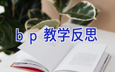 bp教学反思