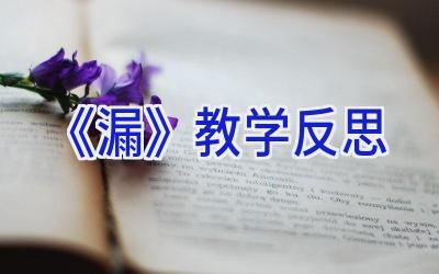 《漏》教学反思