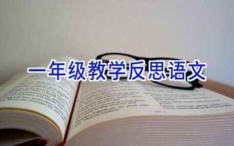 一年级教学反思语文