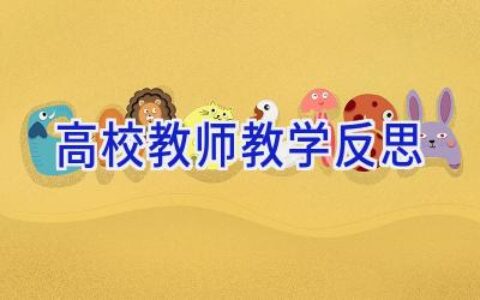 高校教师教学反思