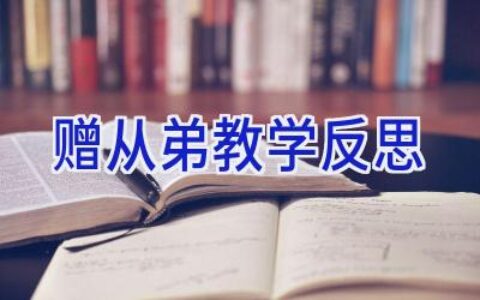 赠从弟教学反思