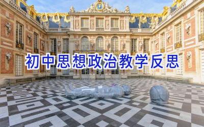 初中思想政治教学反思