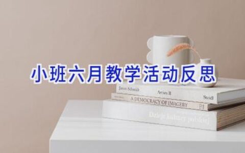 小班六月教学活动反思