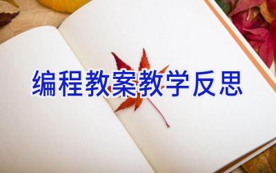 编程教案教学反思