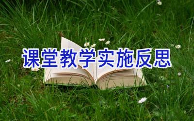 课堂教学实施反思