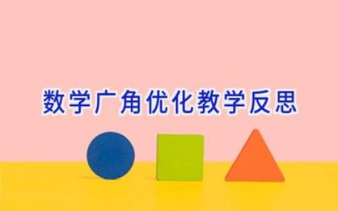 数学广角优化教学反思
