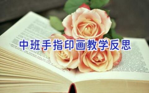 中班手指印画教学反思