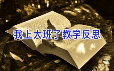 我上大班了教学反思