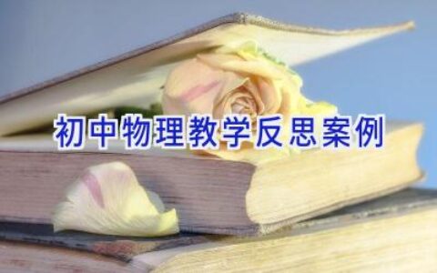 初中物理教学反思案例