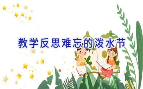 教学反思难忘的泼水节