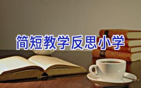 简短教学反思小学