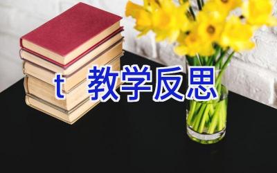 t教学反思