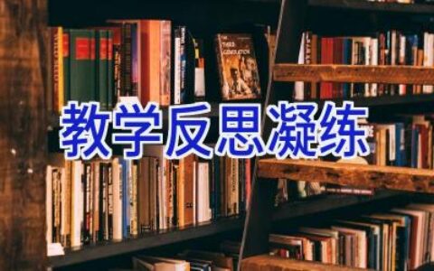 教学反思凝练
