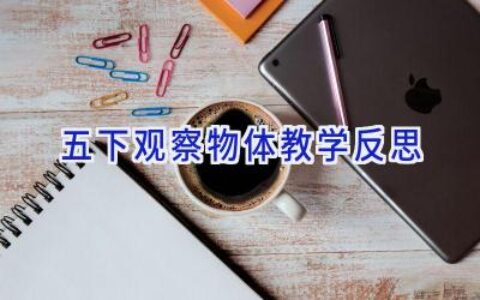 五下观察物体教学反思