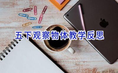 五下观察物体教学反思