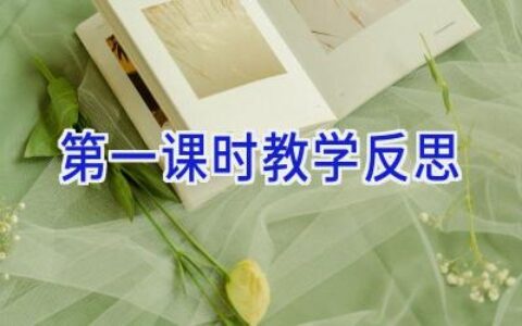 第一课时教学反思
