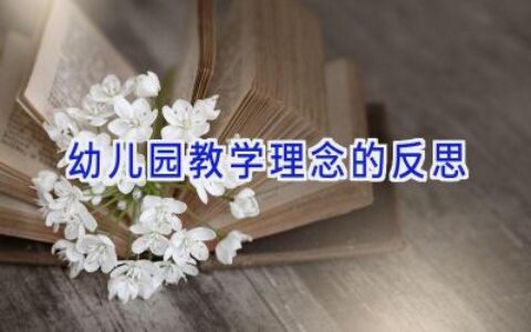 幼儿园教学理念的反思