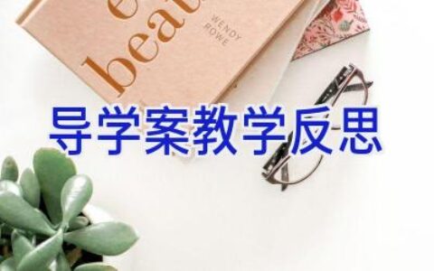 导学案教学反思