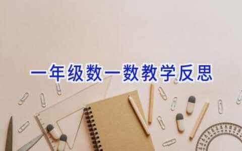 一年级数一数教学反思