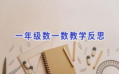 一年级数一数教学反思